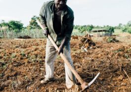 photo of man standing while holding pickaxe