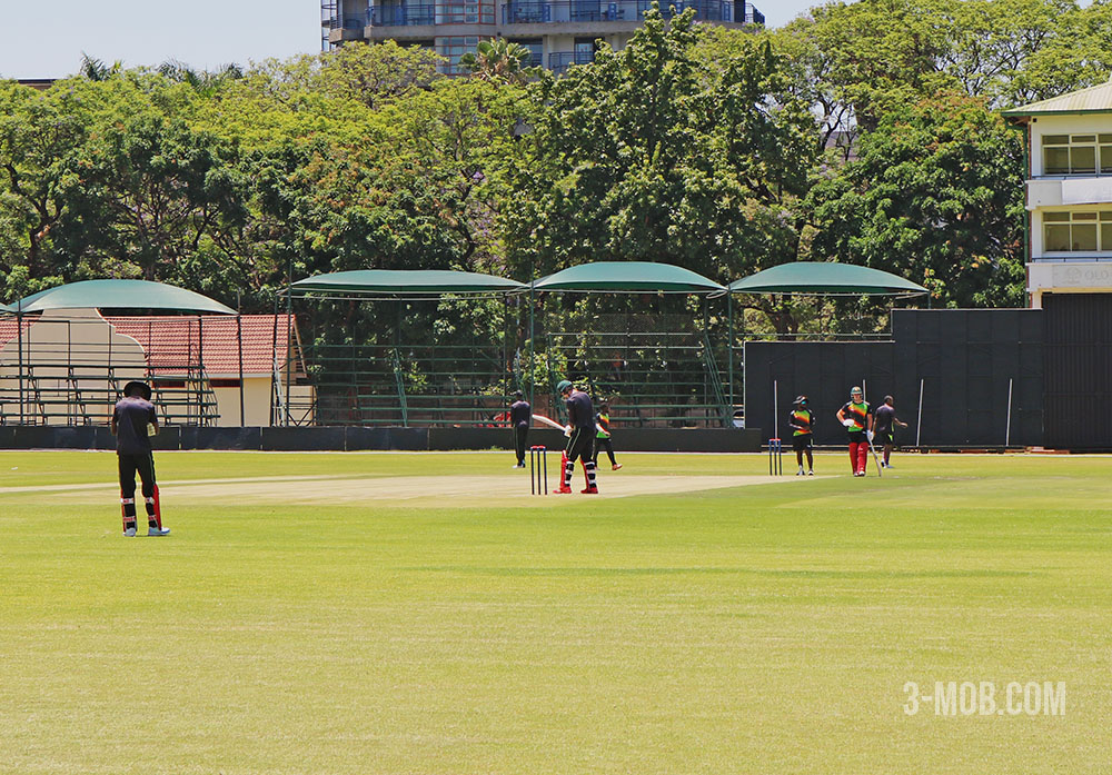 Zimbabwe Cricket Training 3mob