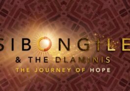 Sibongile and the Dlaminis