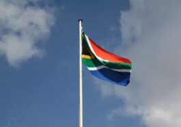 the flag of south africa
