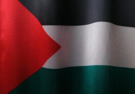 flag of palestine
