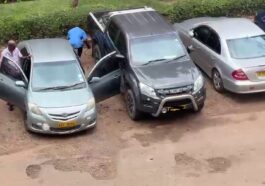 thieves harare