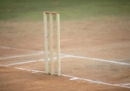 cricket wicket on a pitch close up stump