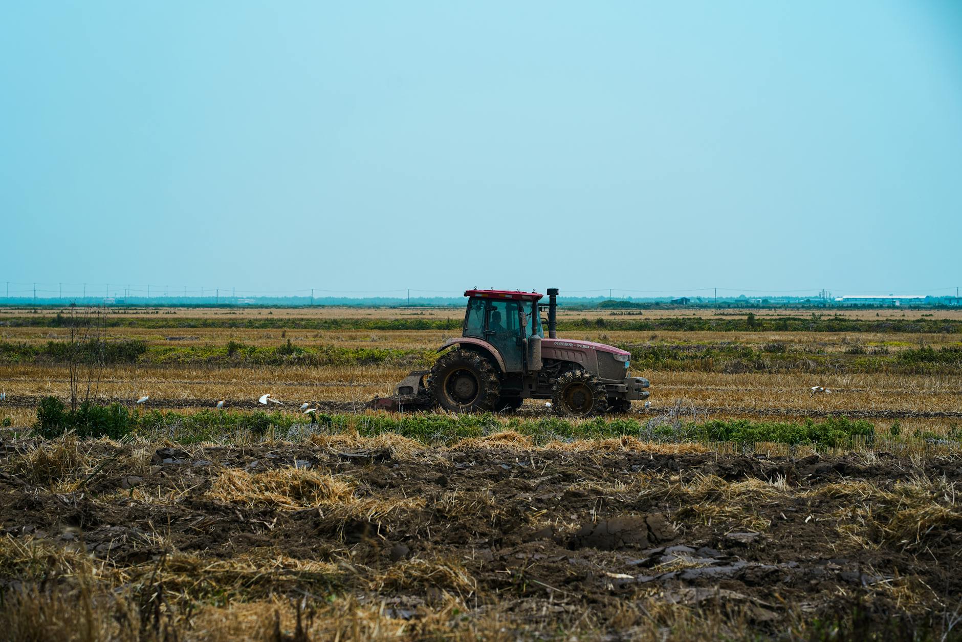 tractor on a field