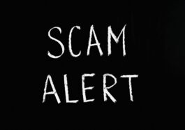 scam alert letting text on black background