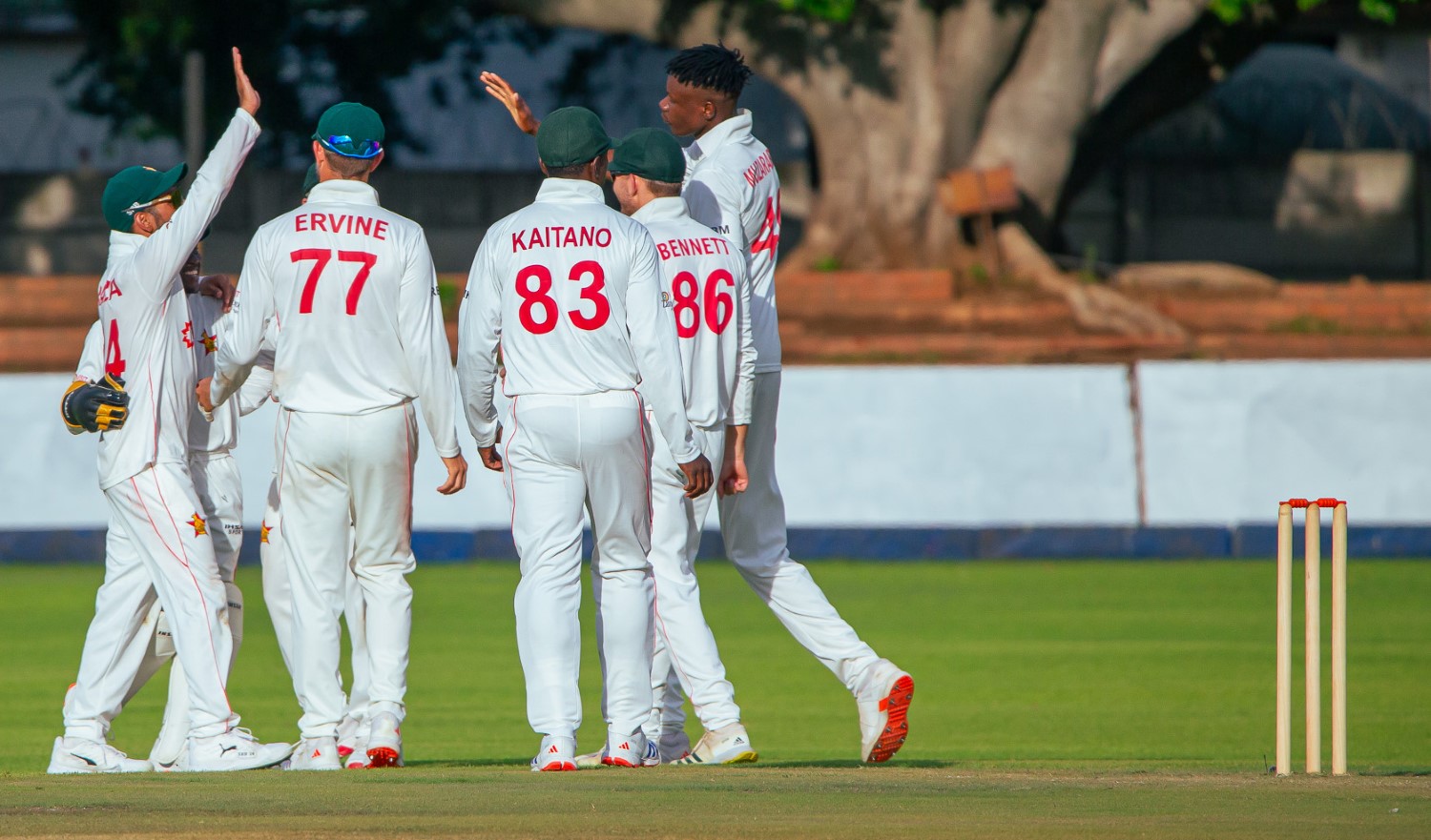 Zimbabwe cricket test