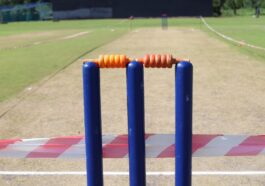 cricket stumps