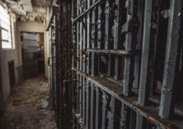 pexels photo 1687067