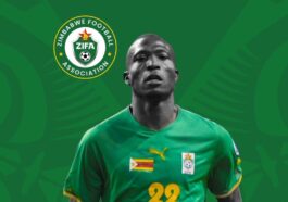 Tendai Ndoro Zifa