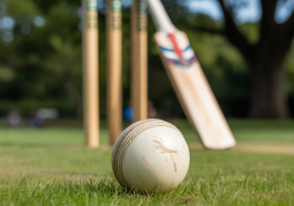 White Ball Cricket ideogram ai