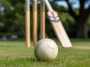 White Ball Cricket ideogram ai